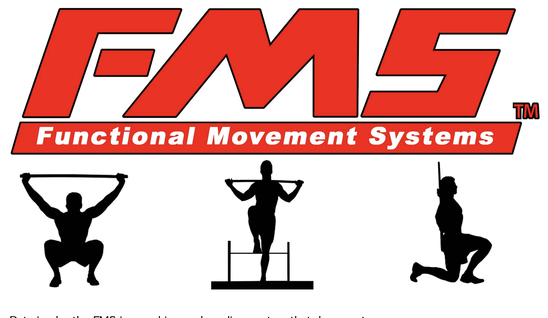 FMS logo featuring "Functional Movement Systems" with silhouettes of individuals performing various exercises, representing fitness training and movement assessment.